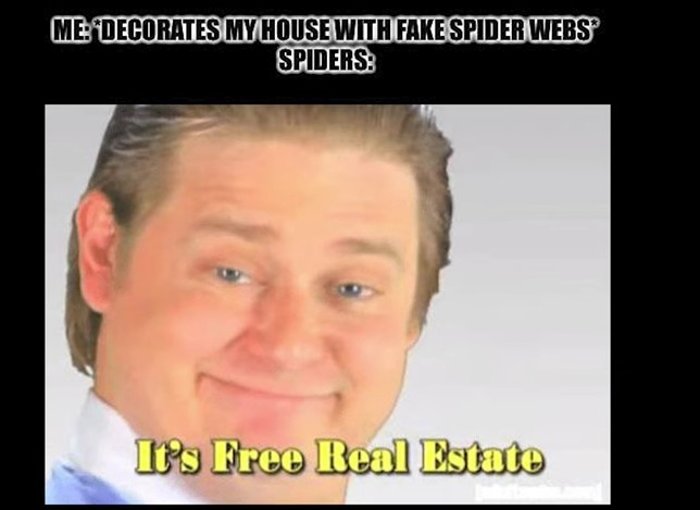 Free real estate! - meme