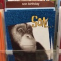 Happy birthday meme for sons