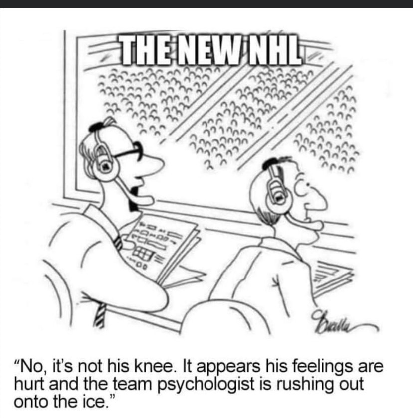 Nhl - meme