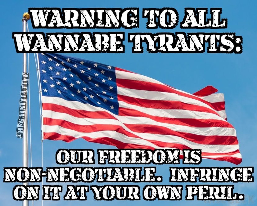 We the People vs. The US Government - meme