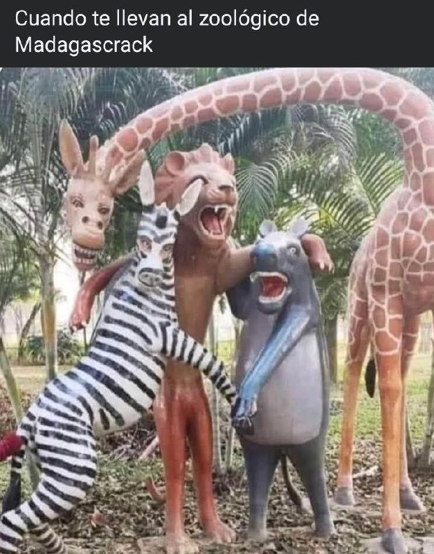 Te llevan al zoo y terminas en Madagascrack - meme
