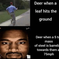 deers are dumb I’m am smarterer