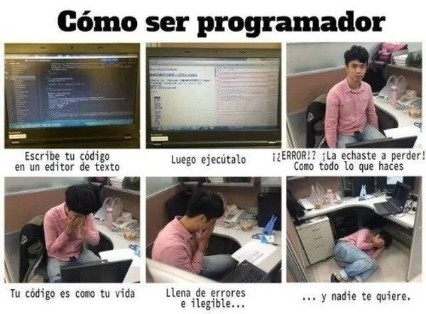 Cómo ser programador - meme