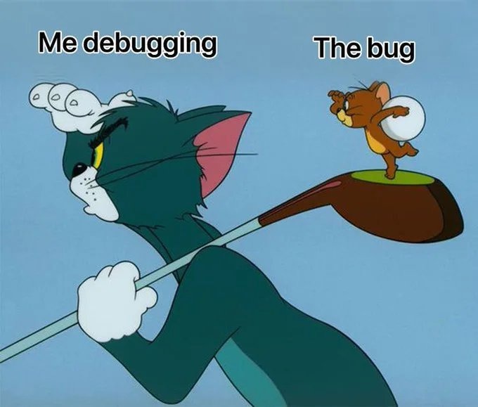 The bug is always behind me where I already looked. - meme