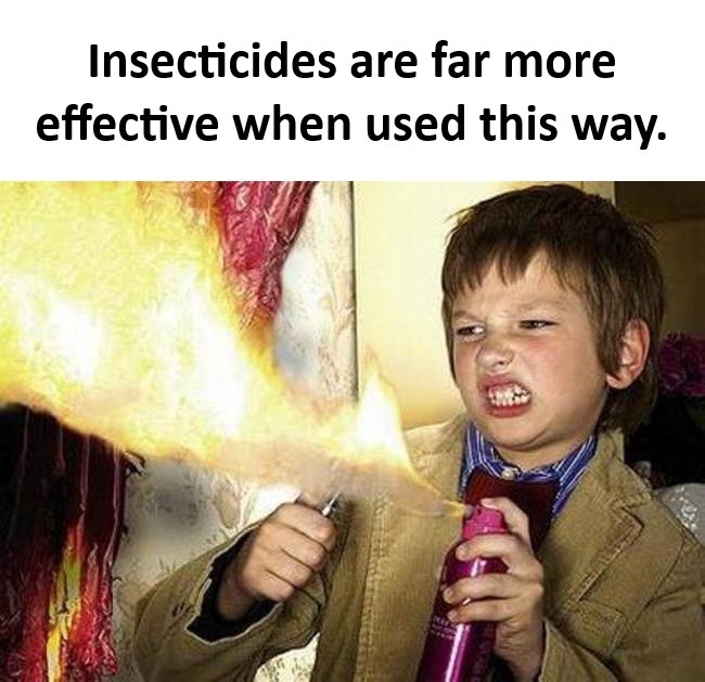 Torch the suckers - meme