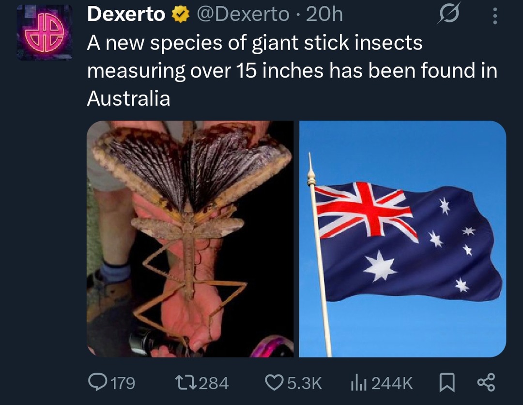 Australia just dropped a 15-inch stick bug on us - meme