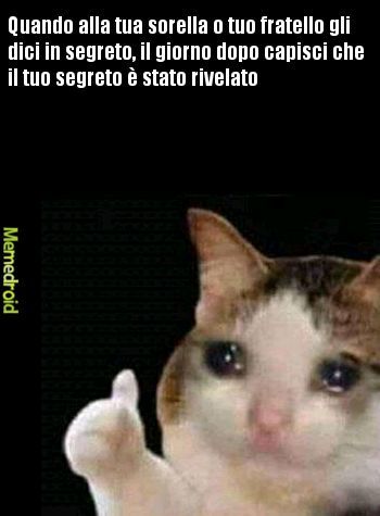 CHE DUE MARONI - meme