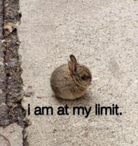i am at my limit too - meme