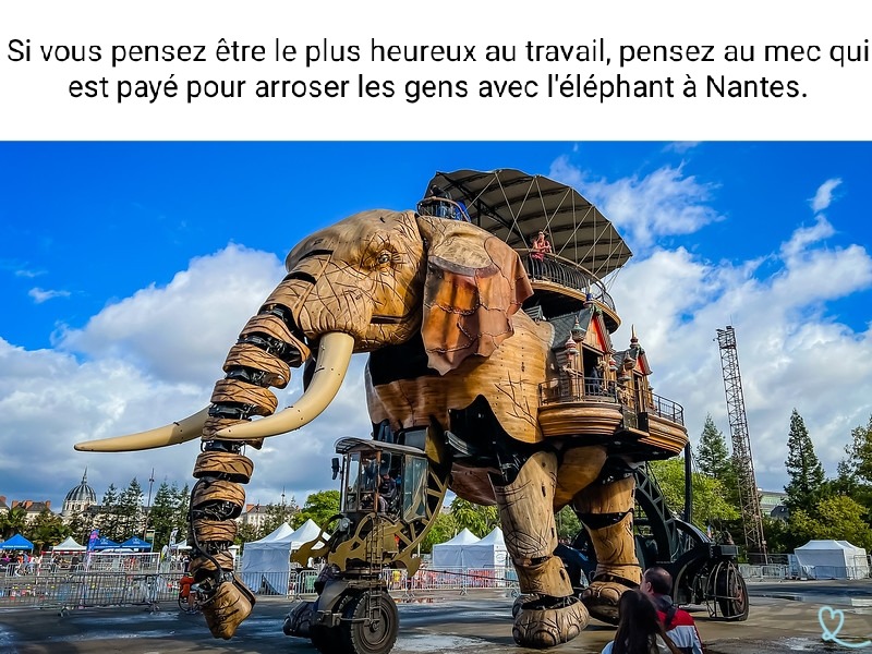Oui - meme