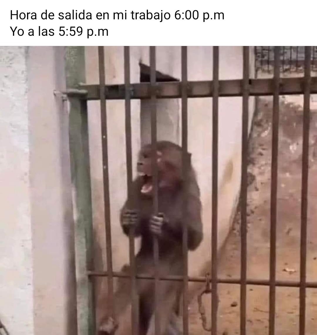 Jajajaaj - meme