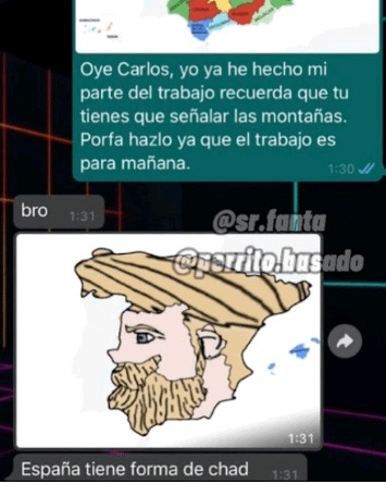 Ojalá Se extingan las mujeres porque por culpa de ellas españa mechico y chiled están mal y por eso Apoyo a Irán porque ese país sí ponen límites ala mujer para que no haya feministas - meme