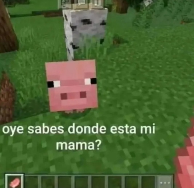 Oye sabes donde esta mi mama? - meme