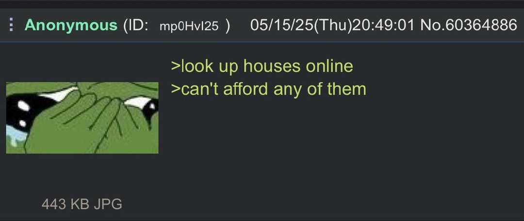 Looked up houses online and immediately closed the tab - meme