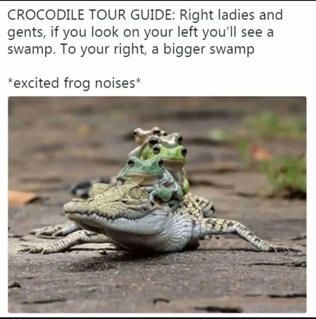 ﻿CROCODILE TOUR GUIDE: Right ladies and gents, if you look on your left you’Il see a swamp: To your right; a bigger swamp *excited frog noises*