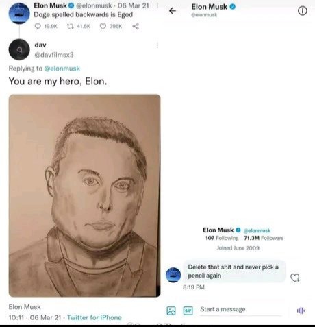 Melon Musk, Elona - meme