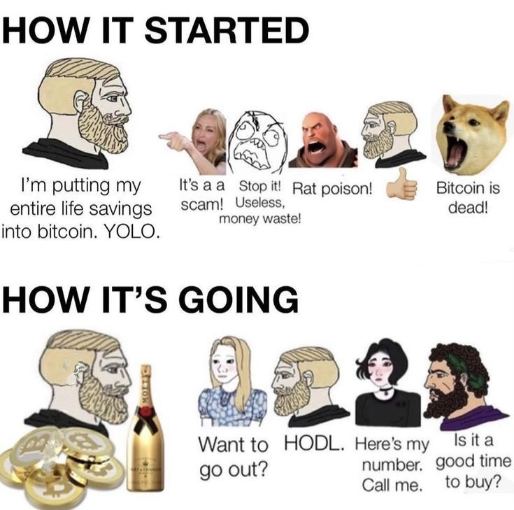 Bitcoin - meme