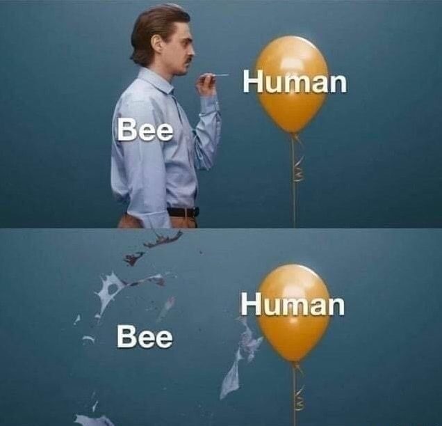 :´´(    d - meme