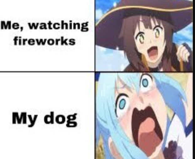 dog go AHHHHHHHHHHHHHHH - meme