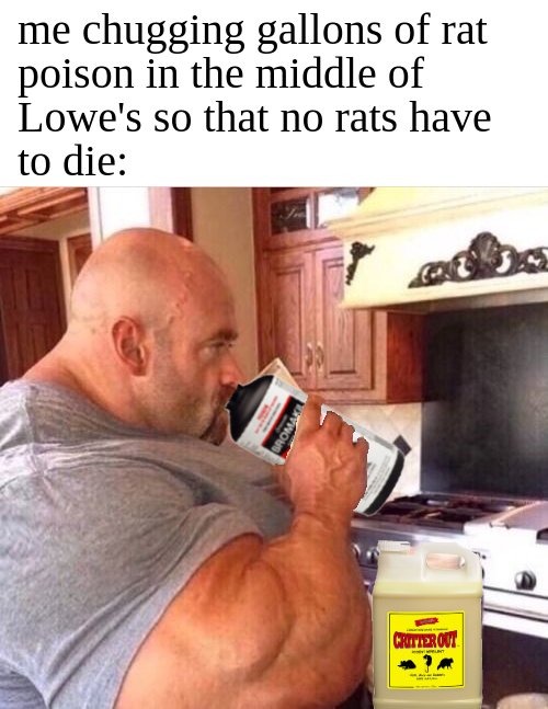 Rats are my family - meme