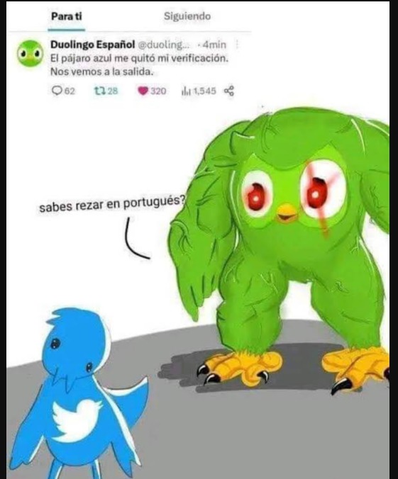 Tercer momo de Duolingo - meme