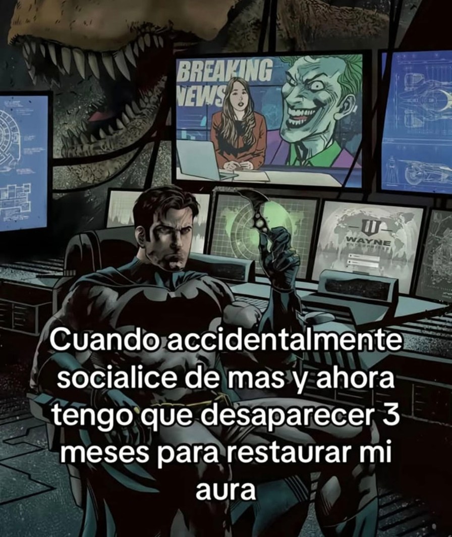 Socialicé demasiado y ahora me voy a hibernar 3 meses - meme
