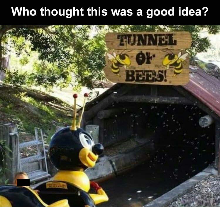 Yeah, I'll agree that it isn't a very good tunnel. But urine trouble when the ride breaks down in "The Tunnel of Pees" - meme
