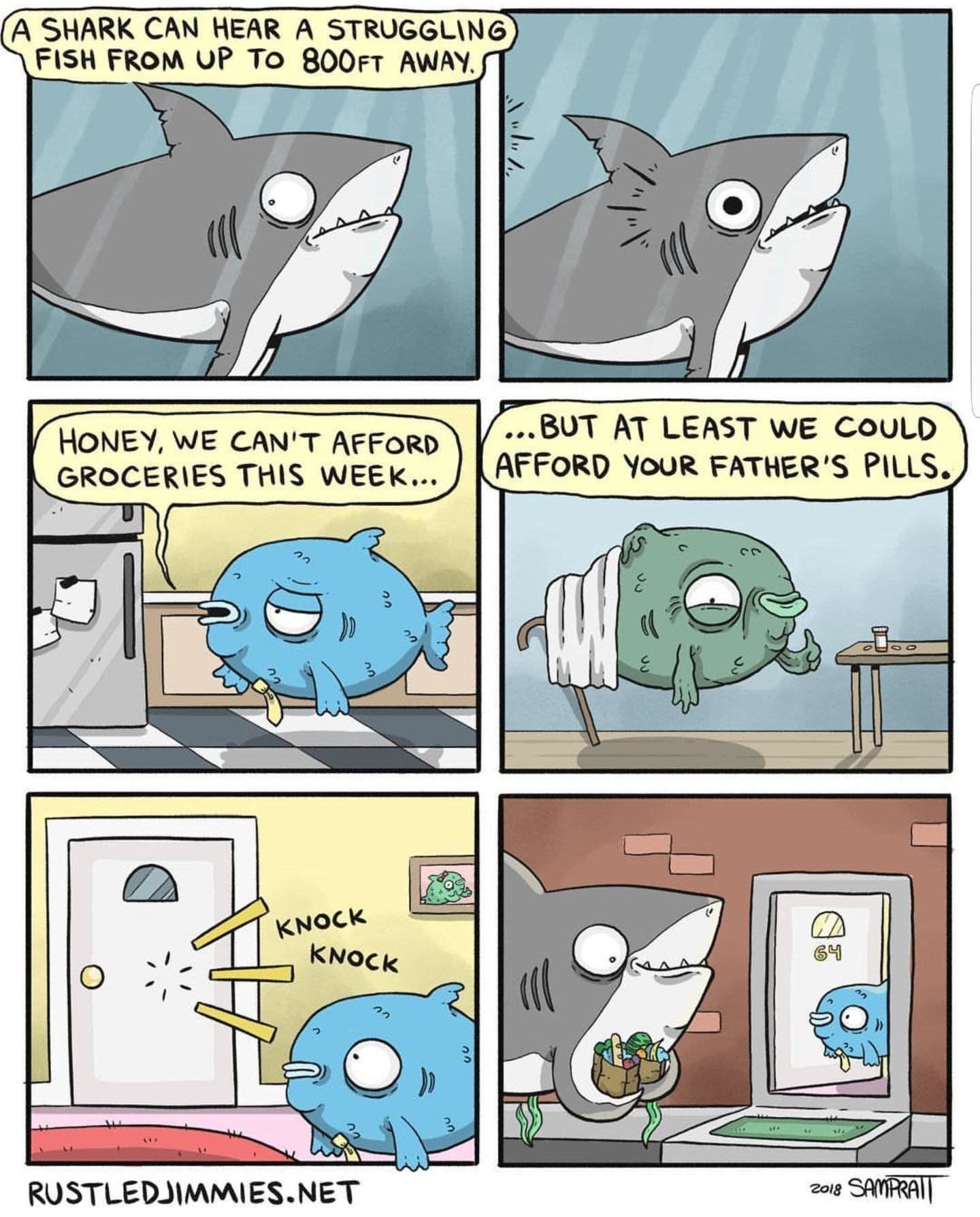 Wholesome shark do do to do do wholesome shark do do - meme