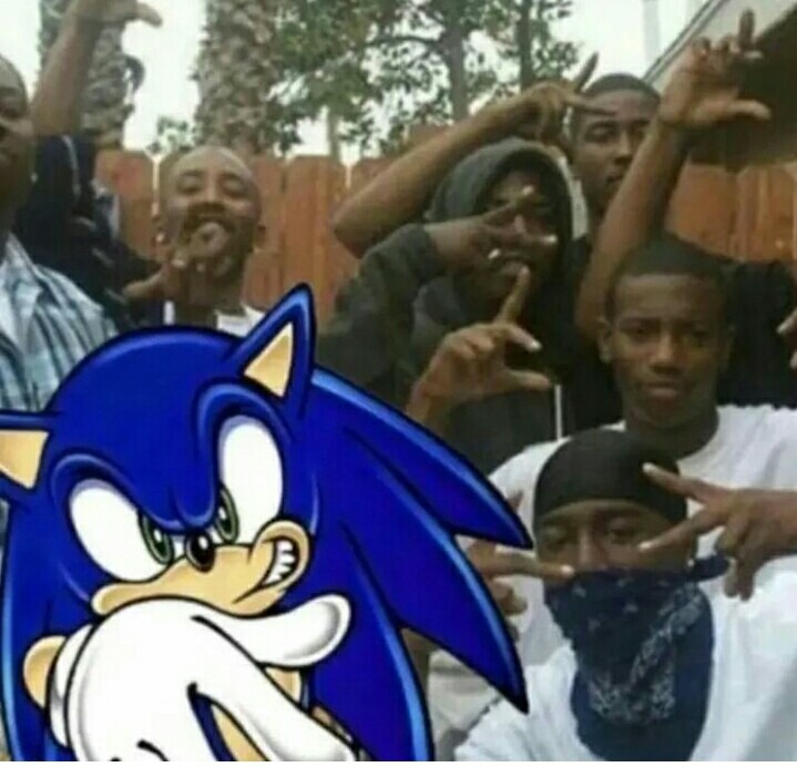 Wtf Sonic shitpost visitó africa - meme