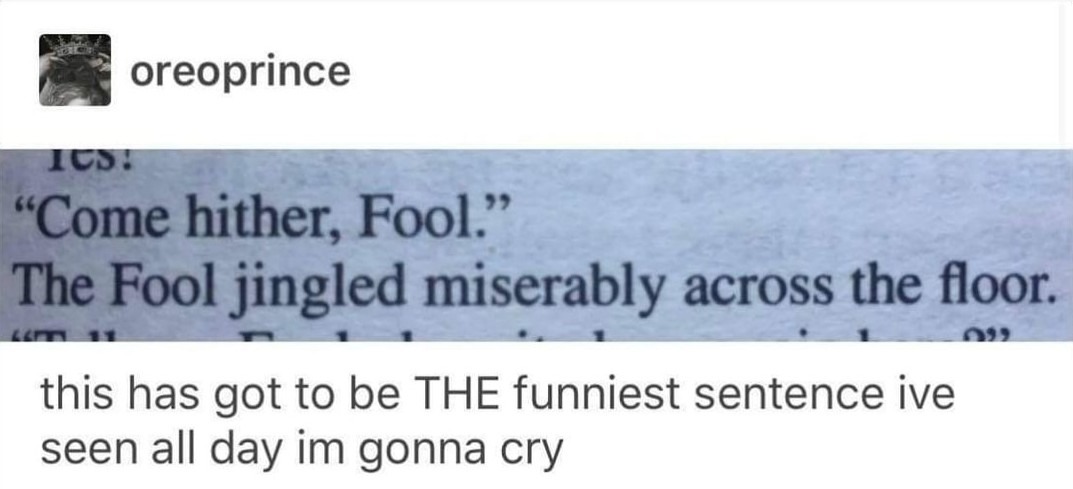 i am the fool - meme