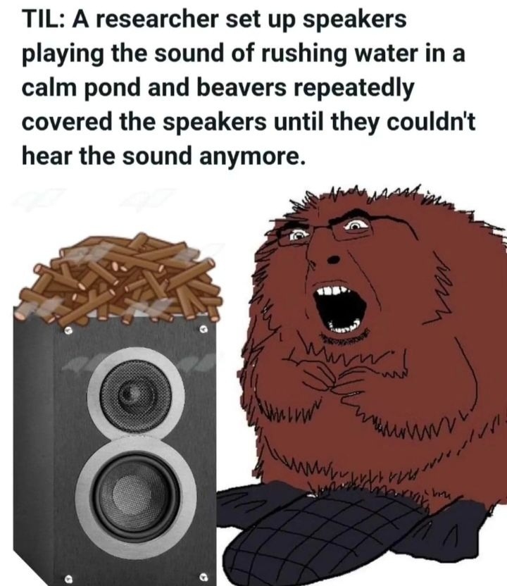 Rushing water just doesn't sound right - meme