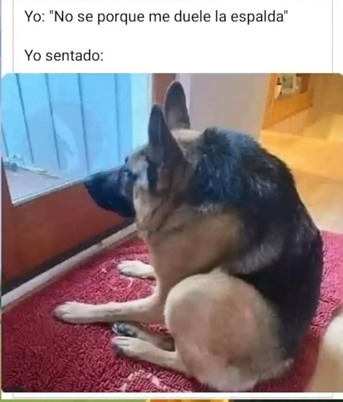 Joroba:v - meme