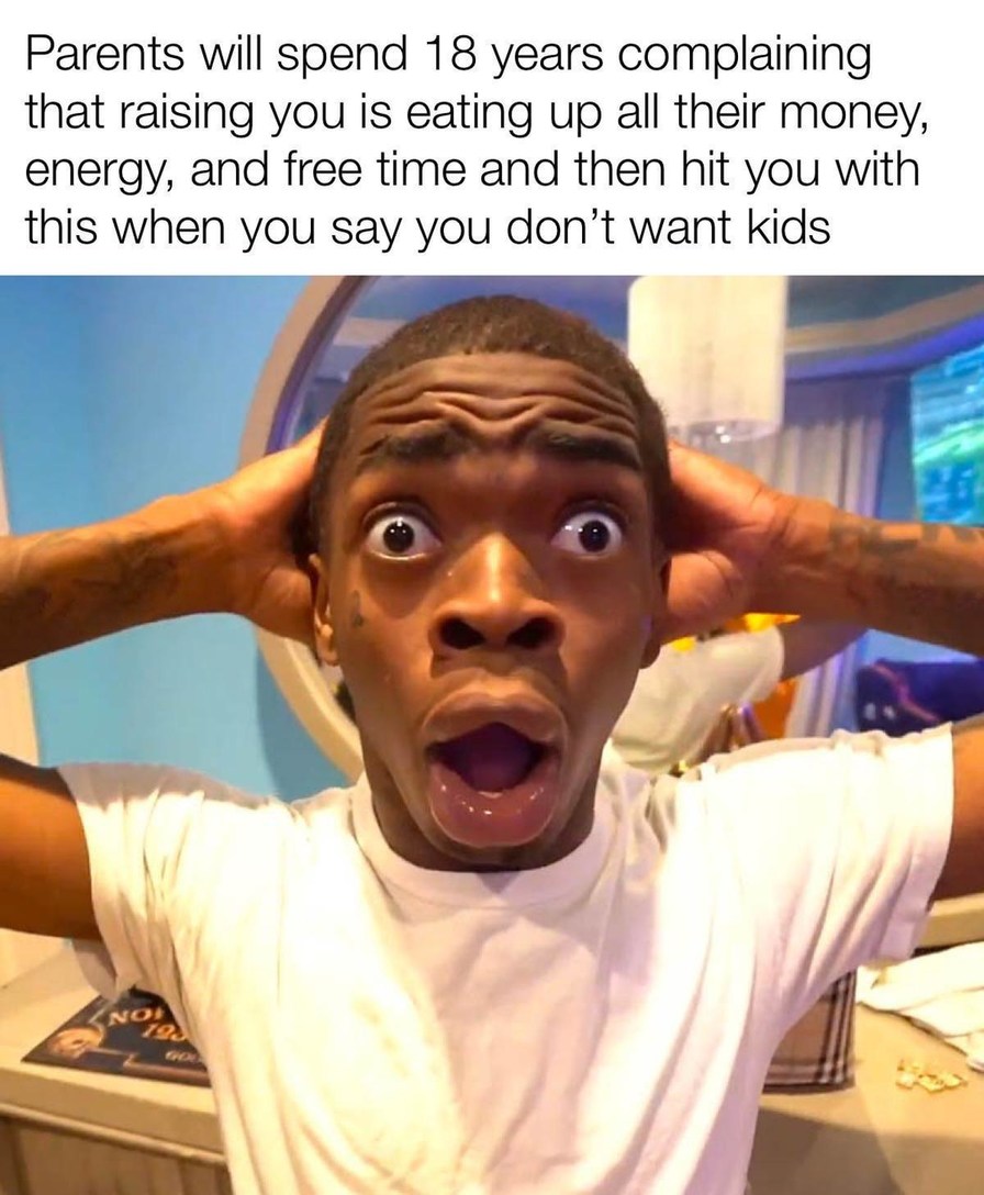 Parents: raising you ruined my life. Also parents: give me grandkids - meme