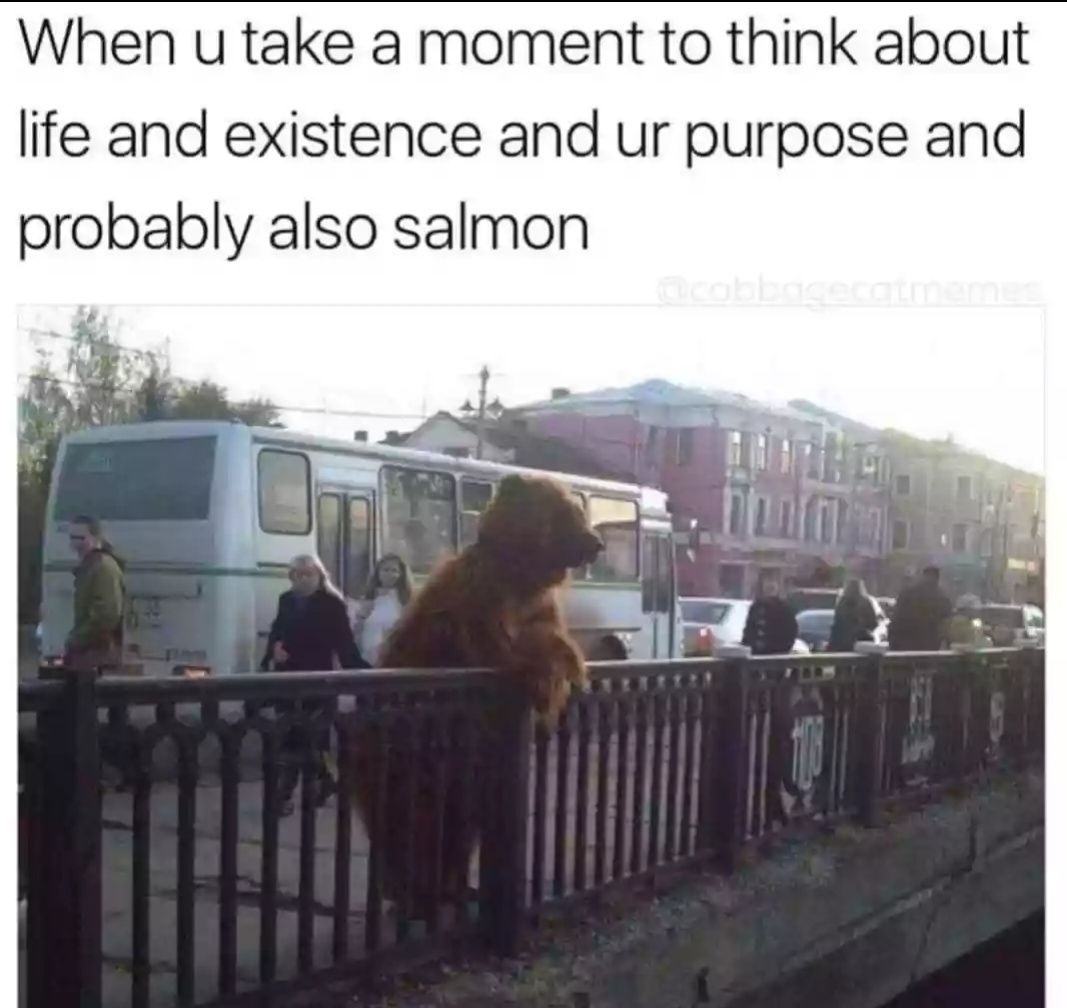 I like salmon - meme