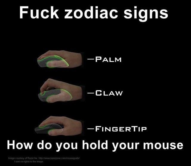 How do you hold your mouse? - meme