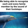 dolphin power