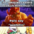 Aestetic bowser