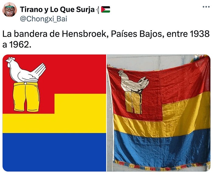 Una gallina con pantalones como bandera de Hensbroek Países Bajos - meme