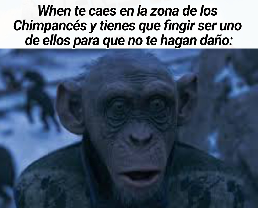Plantilla gratis, escojan que va a decir el mexicano fan de los corridos tumbados. - meme