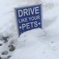 “Drive like your pets live here”