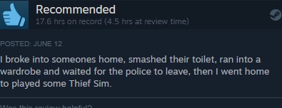 A review from the game Thief Simulator - meme