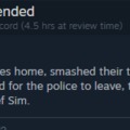 A review from the game Thief Simulator