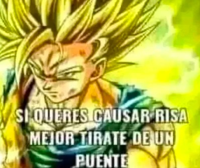 When miras un meme otaku: