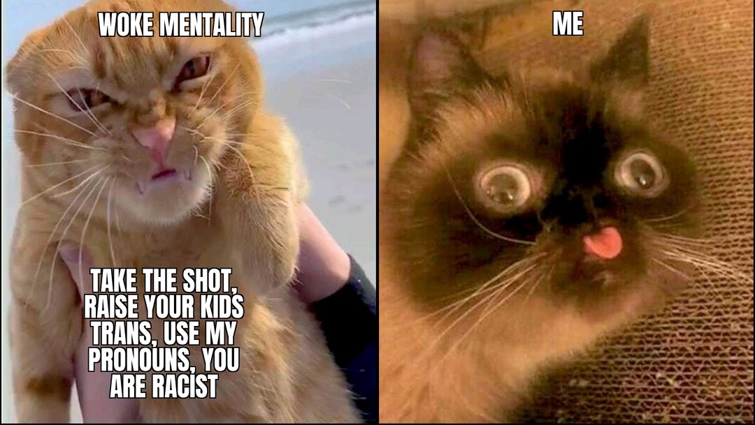 Thank you for the format fellow memer