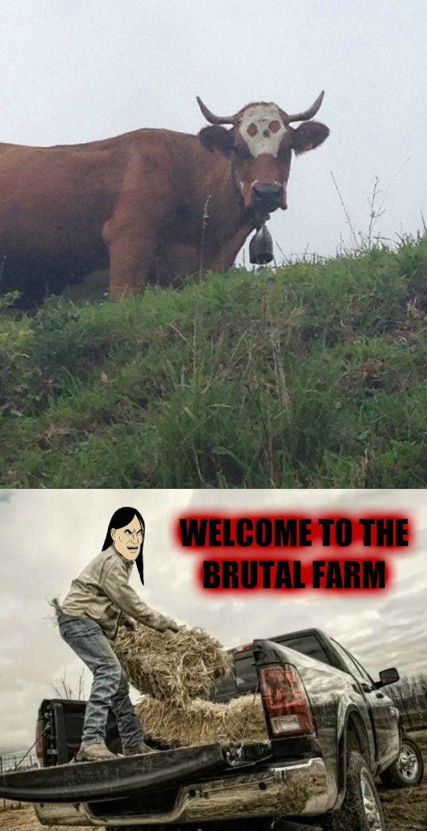 Welcome to the brutal farm - meme