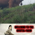 Welcome to the brutal farm