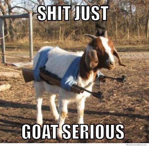 Call of Duty : Goat Edition - meme