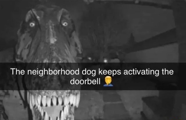 Bro the neighbourhood dog is so annoying bruh! - meme