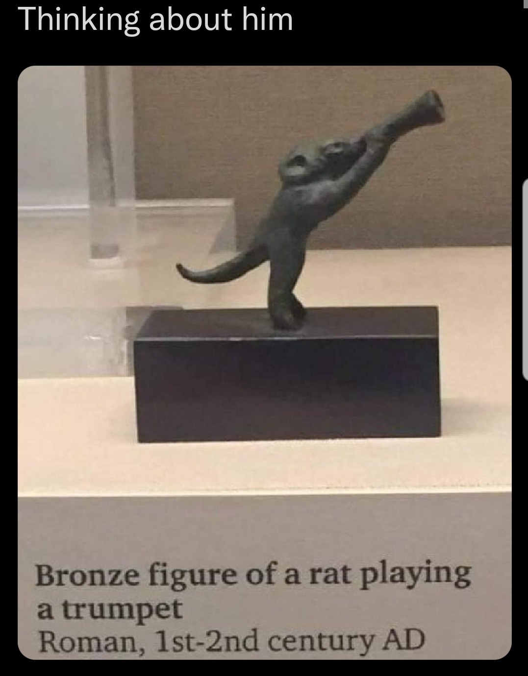 Good Rat - meme
