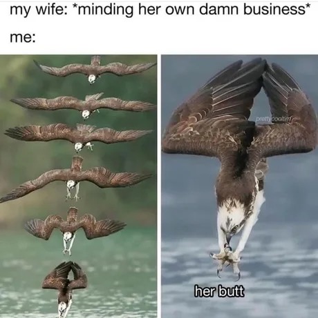 Husband and wife - meme