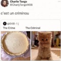 Criminou